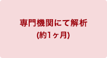 専門機関にて解析(約1ヶ月)